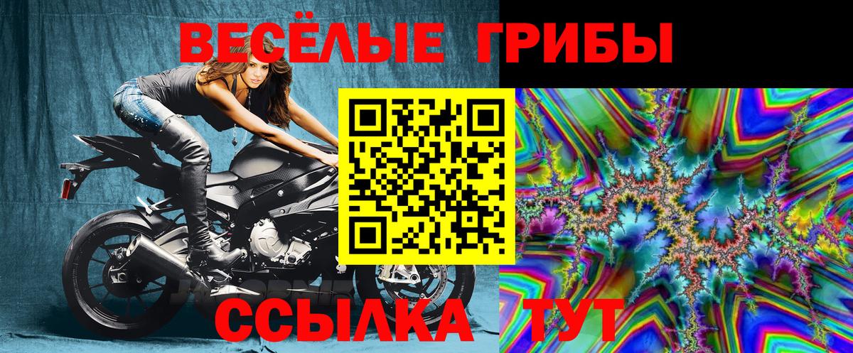 Орск  Галлюциногенные грибы MAGIC MUSHROOMS  Вход с VPN 