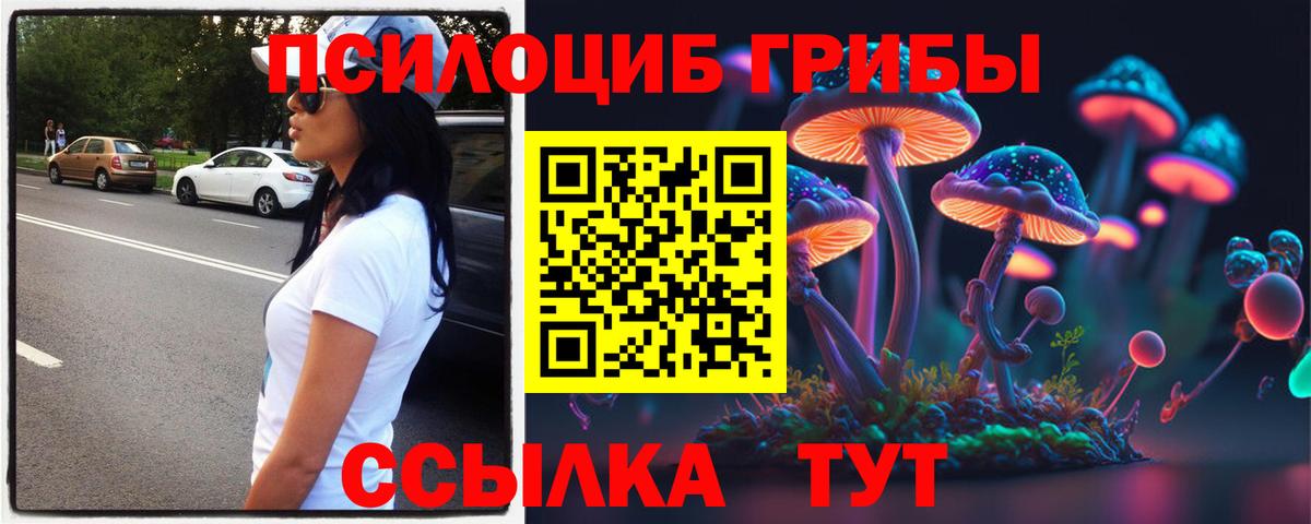 Псилоцибиновые грибы Psilocybe Орск
